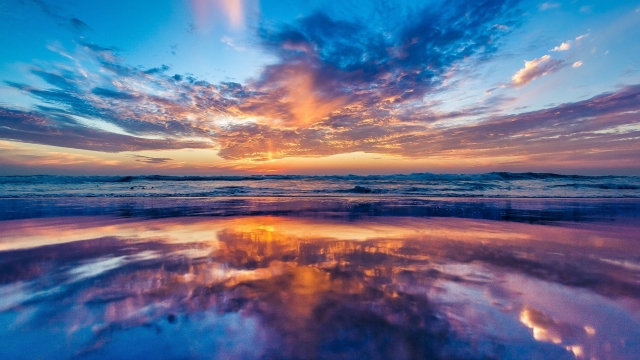 ��������ս��5v5