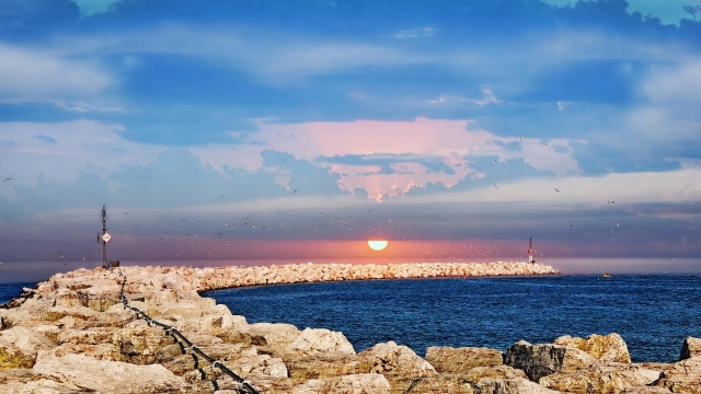 �����ʦ������